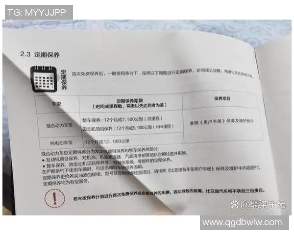 全面解析汽车保养知识，提升车辆性能与延长使用寿命的实用技巧